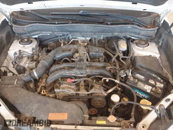 2015 Subaru Forester Premium с VIN JF2SJAFC9FH518620, выставлен на аукционе IAAI как лот 42855712 с пробегом 231 372 миль миль и . История ставок и продаж доступна на DreamBid. Изображение 10.