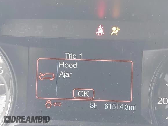 ✅ 2018 Ford Explorer XLT • VIN: 1FM5K8D84JGA02983 • Lot: 43463900. Wystawiony na IAAI z przebiegiem 61 514 mil. Bezpłatny archiwum sprzedaży aukcyjnych z USA i szczegółowy raport historii pojazdu na DreamBid. Zdjęcie 16.