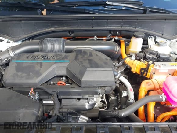 ✅ 2025 Hyundai Santa Fe SEL • VIN: 5NMP2DG17SH026483 • Лот: 43307400. Опубликован ранее на IAAI с пробегом 10 141 миль. Бесплатный доступ к архиву аукционных продаж из США и подробный отчёт об истории автомобиля на DreamBid. Изображение 10.