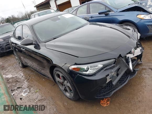 ✅ 2017 Alfa Romeo Giulia • VIN: ZARFAEDN3H7545063 • Lot: 41478190. Listed on IAAI with 76,623 mi. Free auction sales archive from the USA and detailed vehicle history report at DreamBid. Image 1.