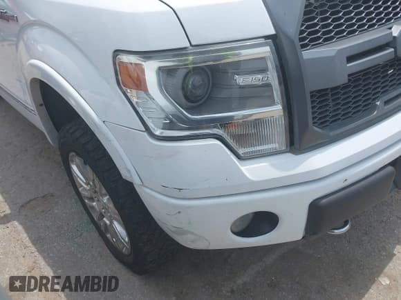 ✅ 2009 Ford F-150 XL • VIN: 1FTPW14V69FA31112 • Lot: 42140682. Listed on IAAI with 263,736 mi. Free auction sales archive from the USA and detailed vehicle history report at DreamBid. Image 6.