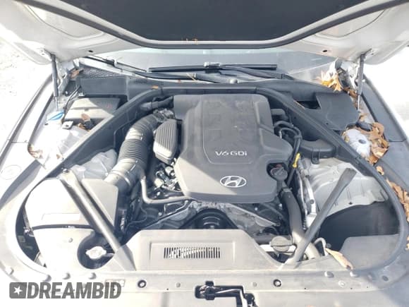 ✅ 2016 Hyundai Genesis 3.8L • VIN: KMHGN4JE3GU106166 • Lot: 84873584. Wystawiony na Copart z przebiegiem 82 609 mil. Bezpłatny archiwum sprzedaży aukcyjnych z USA i szczegółowy raport historii pojazdu na DreamBid. Zdjęcie 11.