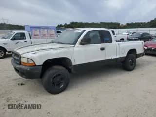 1999 Dodge Dakota SLT with VIN 1B7GG22Y3XS111438, listed as a Copart auction lot 64146875 with 281,560 mi miles and Salvage title. Bid and sale history available at DreamBid. Image 1.