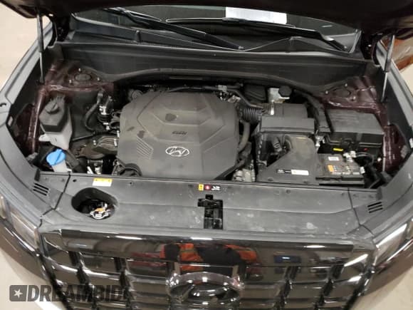 ✅ 2023 Hyundai Palisade SEL • VIN: KM8R4DGE8PU635082 • Lot: 84192174. Wystawiony na Copart z przebiegiem 15 921 mil. Bezpłatny archiwum sprzedaży aukcyjnych z USA i szczegółowy raport historii pojazdu na DreamBid. Zdjęcie 12.