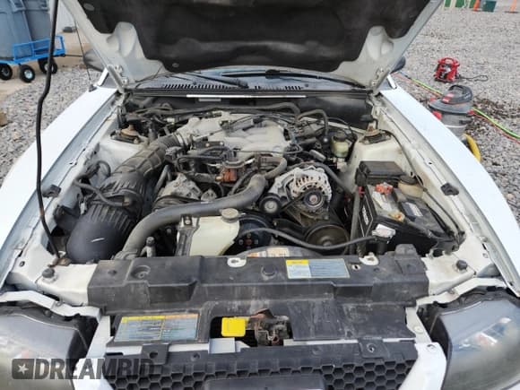 ✅ 2002 Ford Mustang Standard • VIN: 1FAFP40462F118446 • Lot: 86857785. Listed on Copart with 108,154 mi. Free auction sales archive from the USA and detailed vehicle history report at DreamBid. Image 11.