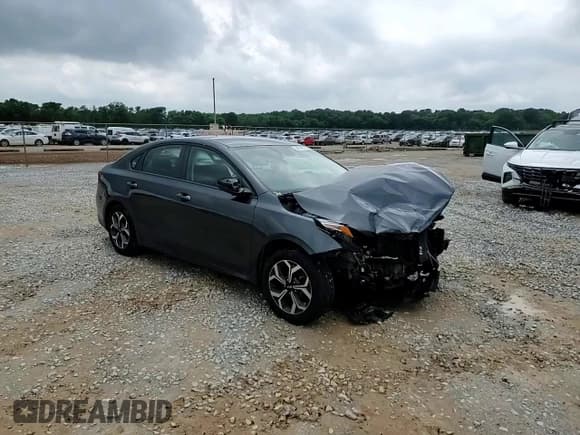 ✅ 2019 Kia Forte LXS • VIN: 3KPF24AD9KE051682 • Lot: 54619515. Listed on Copart with 132,019 mi. Free auction sales archive from the USA and detailed vehicle history report at DreamBid. Image 14.