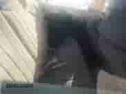 2003 Chevrolet Malibu z VIN 1G1ND52J53M678262, wystawiony jako Copart lot #77108234 z przebiegiem 160 688 mil mil oraz Szkoda całkowita • Salvage title. Historia ofert i sprzedaży dostępna na DreamBid. Obrazek 11.