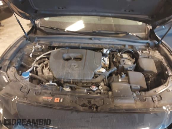 ✅ 2025 Mazda CX-50 S Premium • VIN: 7MMVABDM8SN313234 • Лот: 43089098. Опубликован ранее на IAAI с пробегом Не указан. Бесплатный доступ к архиву аукционных продаж из США и подробный отчёт об истории автомобиля на DreamBid. Изображение 10.