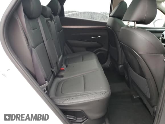 ✅ 2023 Hyundai Tucson SEL Convenience • VIN: KM8JFCA14PU115887 • Lot: 60900983. Wystawiony na Copart z przebiegiem 2 855 mil. Bezpłatny archiwum sprzedaży aukcyjnych z USA i szczegółowy raport historii pojazdu na DreamBid. Zdjęcie 11.