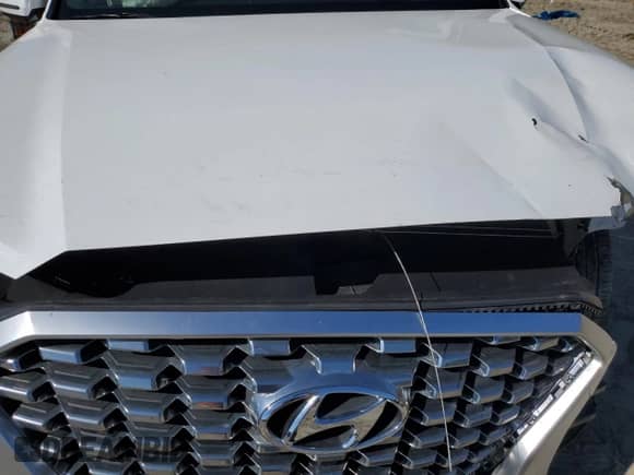 ✅ 2022 Hyundai Palisade Limited • VIN: KM8R54HE0NU471299 • Lot: 89578715. Listed on Copart with 34,089 mi. Free auction sales archive from the USA and detailed vehicle history report at DreamBid. Image 12.