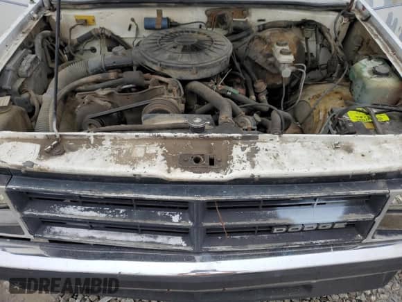 1989 Dodge Dakota S with VIN 1B7GL26X7KS077008, listed as a Copart auction lot 82024544 with 193,811 mi miles and Salvage title. Bid and sale history available at DreamBid. Image 11.