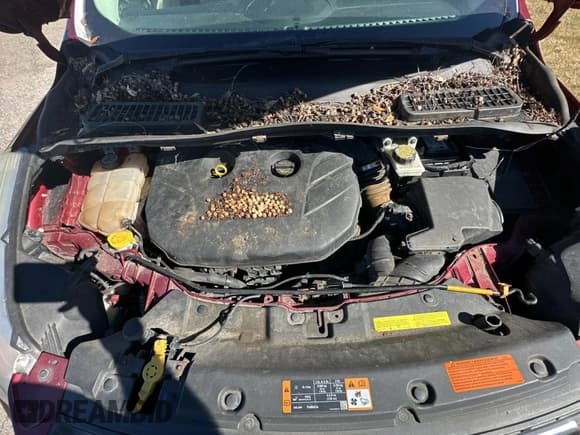 ✅ 2013 Ford Escape SE • VIN: 1FMCU9G95DUD25554 • Lot: 83068844. Wystawiony na Copart z przebiegiem Nie podano. Bezpłatny archiwum sprzedaży aukcyjnych z USA i szczegółowy raport historii pojazdu na DreamBid. Zdjęcie 7.