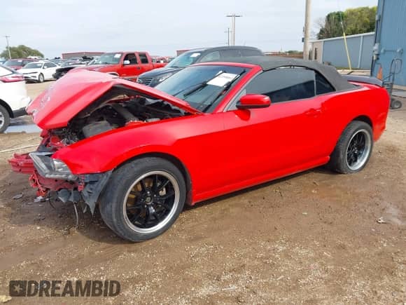 2014 Ford Mustang V6 с VIN 1ZVBP8EMXE5245569, выставлен на аукционе IAAI как лот 43398061 с пробегом Не указан миль и . История ставок и продаж доступна на DreamBid. Изображение 18.