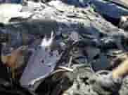 2007 Dodge Charger SRT-8 с VIN 2B3LA73W17H894603, выставлен на аукционе Copart как лот 80543024 с пробегом Не указан миль и На запчасти • Non repairable. История ставок и продаж доступна на DreamBid. Изображение 9.