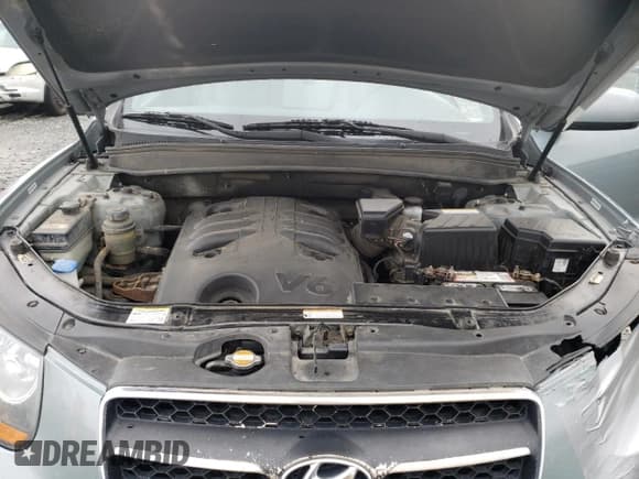 ✅ 2009 Hyundai Santa Fe Limited • VIN: 5NMSH73E09H234119 • Lot: 85303714. Listed on Copart with 143,110 mi. Free auction sales archive from the USA and detailed vehicle history report at DreamBid. Image 12.