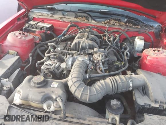 ✅ 2010 Ford Mustang V6 • VIN: 1ZVBP8AN5A5170627 • Lot: 43749299. Listed on IAAI with 131,421 mi. Free auction sales archive from the USA and detailed vehicle history report at DreamBid. Image 10.