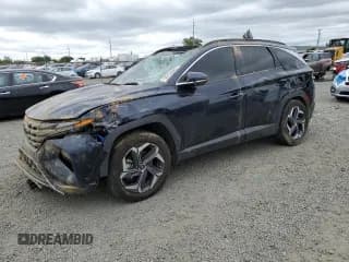 ✅ 2024 Hyundai Tucson Limited • VIN: KM8JFDD2XRU163620 • Lot: 58258665. Wystawiony na Copart z przebiegiem 23 019 mil. Bezpłatny archiwum sprzedaży aukcyjnych z USA i szczegółowy raport historii pojazdu na DreamBid. Zdjęcie 1.