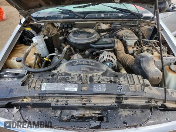 ✅ 1994 Chevrolet S-10 LS • VIN: 1GCCS19Z2R8154903 • Lot: 71016485. Wystawiony na Copart z przebiegiem 56 478 mil. Bezpłatny archiwum sprzedaży aukcyjnych z USA i szczegółowy raport historii pojazdu na DreamBid. Zdjęcie 11.