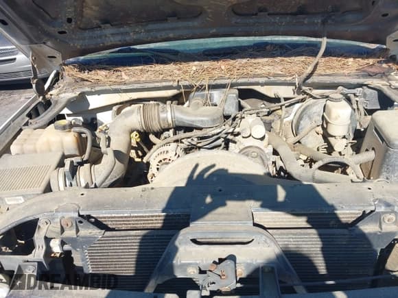 ✅ 2001 Chevrolet Silverado 1500 • VIN: 1GCEK14WX1Z158914 • Lot: 43658788. Wystawiony na IAAI z przebiegiem Nie podano. Bezpłatny archiwum sprzedaży aukcyjnych z USA i szczegółowy raport historii pojazdu na DreamBid. Zdjęcie 10.