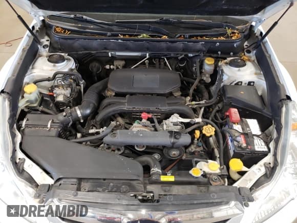 ✅ 2010 Subaru Outback Premium • VIN: 4S4BRCDC9A3325181 • Lot: 74557134. Wystawiony na Copart z przebiegiem 114 480 mil. Bezpłatny archiwum sprzedaży aukcyjnych z USA i szczegółowy raport historii pojazdu na DreamBid. Zdjęcie 12.