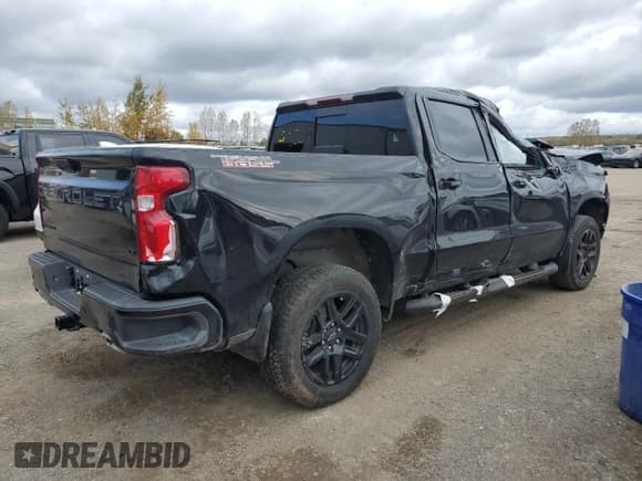 ✅ 2024 Chevrolet Silverado 1500 LT Trail Boss • VIN: 3GCUDFE85RG196534 • Lot: 89503895. Wystawiony na Copart z przebiegiem Nie podano. Bezpłatny archiwum sprzedaży aukcyjnych z USA i szczegółowy raport historii pojazdu na DreamBid. Zdjęcie 3.