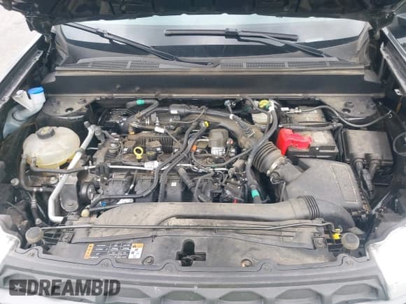 ✅ 2024 Ford Maverick XLT • VIN: 3FTTW8H90RRA28357 • Лот: 43307544. Опубликован ранее на IAAI с пробегом 48 007 миль. Бесплатный доступ к архиву аукционных продаж из США и подробный отчёт об истории автомобиля на DreamBid. Изображение 10.