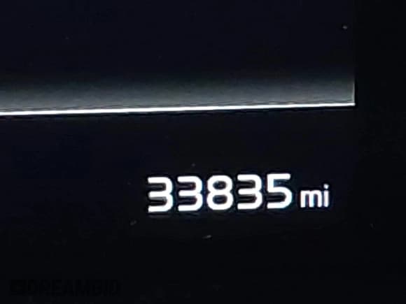 ✅ 2023 Kia Telluride S • VIN: 5XYP6DGC2PG409948 • Lot: 41783552. Listed on IAAI with 33,835 mi. Free auction sales archive from the USA and detailed vehicle history report at DreamBid. Image 15.