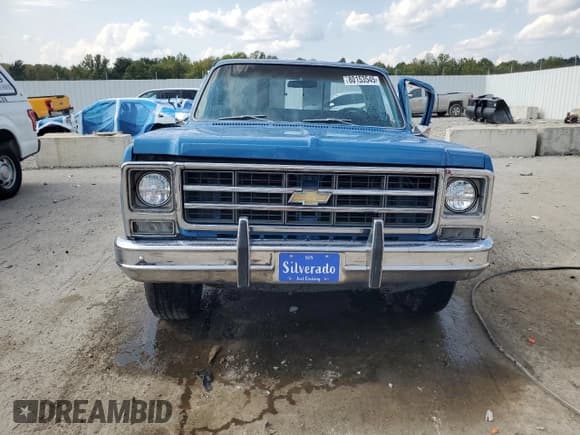 ✅ 1979 Chevrolet Silverado 1500 • VIN: CCU149B168198 • Lot: 80153545. Wystawiony na Copart z przebiegiem 316 414 mil. Bezpłatny archiwum sprzedaży aukcyjnych z USA i szczegółowy raport historii pojazdu na DreamBid. Zdjęcie 5.
