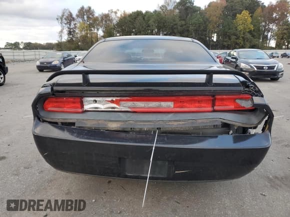 ✅ 2010 Dodge Challenger SE • VIN: 2B3CJ4DV4AH162655 • Lot: 79945324. Wystawiony na Copart z przebiegiem 175 245 mil. Bezpłatny archiwum sprzedaży aukcyjnych z USA i szczegółowy raport historii pojazdu na DreamBid. Zdjęcie 6.