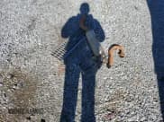 ✅ 1985 Chevrolet Celebrity • VIN: 1G1AW19R8F6308705 • Лот: 42148305. Опубликован ранее на Copart с пробегом 91 840 миль. Бесплатный доступ к архиву аукционных продаж из США и подробный отчёт об истории автомобиля на DreamBid. Изображение 14.