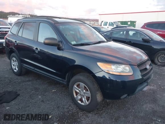 ✅ 2009 Hyundai Santa Fe GLS • VIN: 5NMSG13D69H299953 • Лот: 43642218. Опубликован ранее на IAAI с пробегом 185 505 миль. Бесплатный доступ к архиву аукционных продаж из США и подробный отчёт об истории автомобиля на DreamBid. Изображение 1.