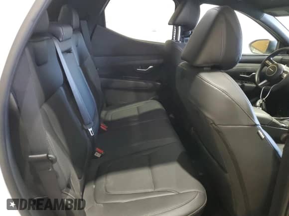 2025 Hyundai Santa Cruz SEL with VIN 5NTJBDDE4SH138577, listed as a Copart auction lot 62282345 with 7,487 mi miles and Salvage title. Bid and sale history available at DreamBid. Image 10.