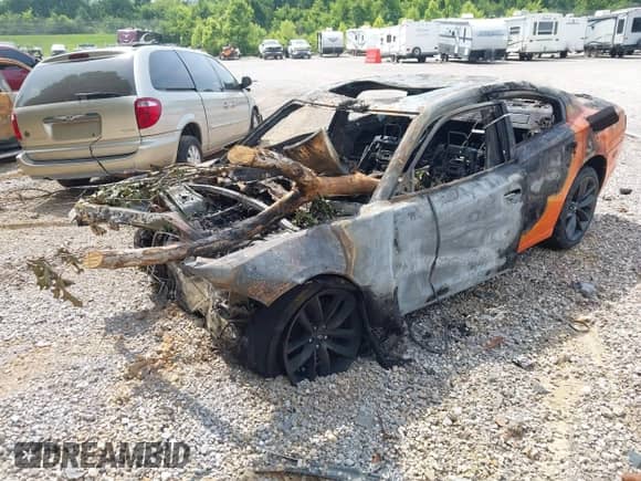 ✅ 2014 Dodge Charger RT • VIN: 2C3CDXCT8EH282587 • Lot: 42580556. Listed on IAAI with Not provided. Free auction sales archive from the USA and detailed vehicle history report at DreamBid. Image 2.
