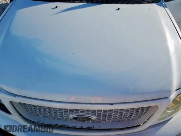 ✅ 2003 Ford F-150 XLT • VIN: 1FTRW07623KA19822 • Lot: 91926195. Wystawiony na Copart z przebiegiem Nie podano. Bezpłatny archiwum sprzedaży aukcyjnych z USA i szczegółowy raport historii pojazdu na DreamBid. Zdjęcie 11.