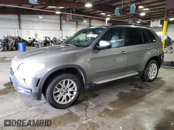 ✅ 2009 BMW X5 48i • VIN: 5UXFE83559L170401 • Lot: 81713605. Listed on Copart with 181,875 mi. Free auction sales archive from the USA and detailed vehicle history report at DreamBid. Image 1.