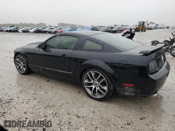 ✅ 2006 Ford Mustang GT Deluxe • VIN: 1ZVFT82H365134464 • Lot: 85395735. Wystawiony na Copart z przebiegiem 174 128 mil. Bezpłatny archiwum sprzedaży aukcyjnych z USA i szczegółowy raport historii pojazdu na DreamBid. Zdjęcie 2.