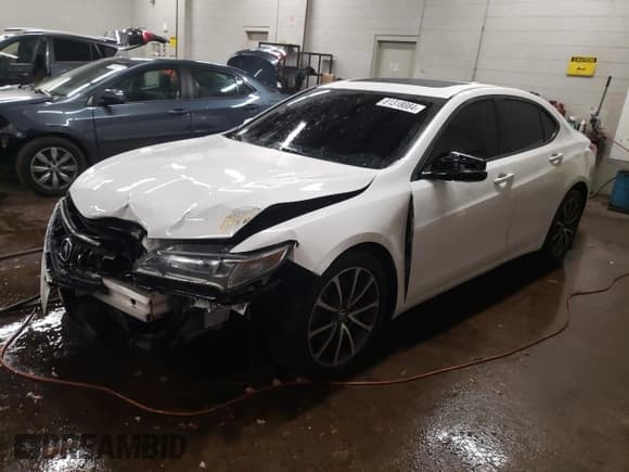 ✅ 2017 Acura TLX V6 w/Technology Pkg • VIN: 19UUB2F59HA003349 • Lot: 81318084. Listed on Copart with 104,300 mi. Free auction sales archive from the USA and detailed vehicle history report at DreamBid. Image 1.