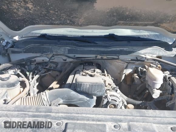 ✅ 2018 Chevrolet Silverado 2500HD Work Truck • VIN: 1GC2CUEG3JZ230478 • Lot: 41358346. Wystawiony na IAAI z przebiegiem 307 142 mil. Bezpłatny archiwum sprzedaży aukcyjnych z USA i szczegółowy raport historii pojazdu na DreamBid. Zdjęcie 10.