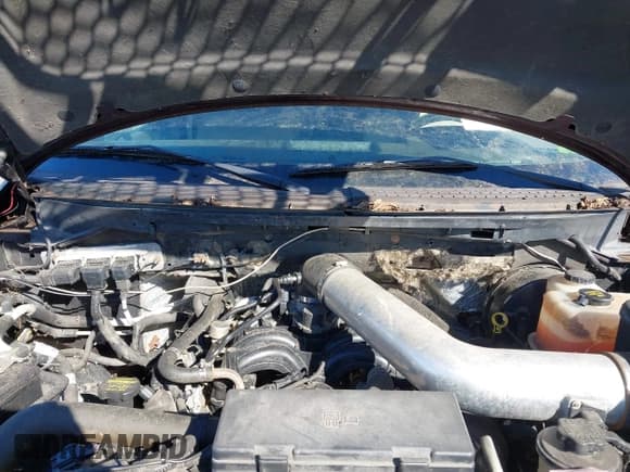 ✅ 2009 Ford F-150 XL • VIN: 1FTPW14V69FA21132 • Lot: 43499791. Listed on IAAI with 149,149 mi. Free auction sales archive from the USA and detailed vehicle history report at DreamBid. Image 10.