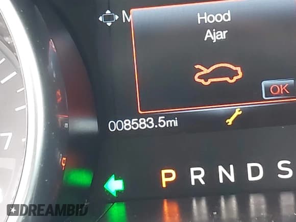 ✅ 2020 Ford Mustang GT • VIN: 1FA6P8CF7L5182295 • Lot: 41006471. Listed on IAAI with 8,583 mi. Free auction sales archive from the USA and detailed vehicle history report at DreamBid. Image 15.