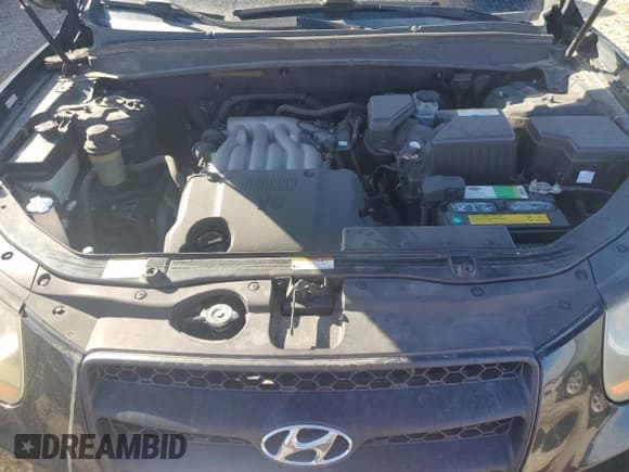 ✅ 2009 Hyundai Santa Fe GLS • VIN: 5NMSG73D89H261580 • Lot: 79571254. Listed on Copart with 186,160 mi. Free auction sales archive from the USA and detailed vehicle history report at DreamBid. Image 11.