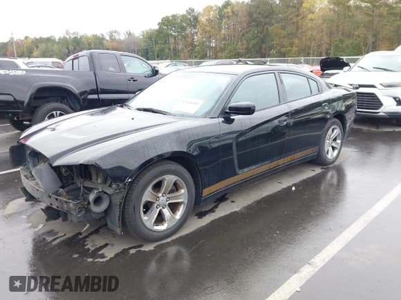 ✅ 2013 Dodge Charger SE • VIN: 2C3CDXBG9DH539839 • Lot: 43548006. Listed on IAAI with 220,448 mi. Free auction sales archive from the USA and detailed vehicle history report at DreamBid. Image 2.