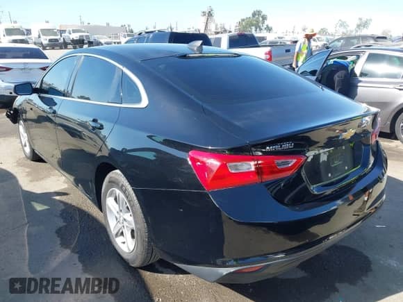 2019 Chevrolet Malibu LS with VIN 1G1ZB5ST9KF228156, listed as a IAAI auction lot 43086258 with 80,105 mi miles and . Bid and sale history available at DreamBid. Image 3.