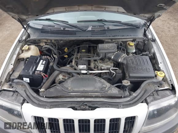 ✅ 2004 Jeep Grand Cherokee Laredo • VIN: 1J4GW48S44C186277 • Лот: 43732398. Опубликован ранее на IAAI с пробегом 141 986 миль. Бесплатный доступ к архиву аукционных продаж из США и подробный отчёт об истории автомобиля на DreamBid. Изображение 10.