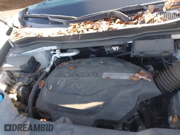 ✅ 2017 Honda Pilot EX-L • VIN: 5FNYF6H5XHB098584 • Lot: 43664045. Listed on IAAI with 119,767 mi. Free auction sales archive from the USA and detailed vehicle history report at DreamBid. Image 10.