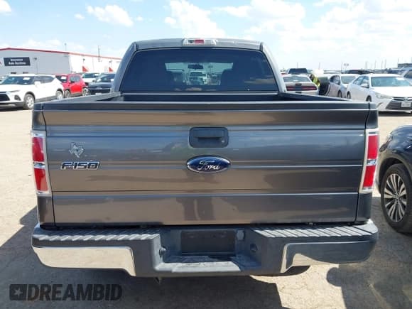 ✅ 2010 Ford F-150 XL • VIN: 1FTEW1C86AFA09862 • Lot: 42776236. Listed on IAAI with 142,387 mi. Free auction sales archive from the USA and detailed vehicle history report at DreamBid. Image 16.