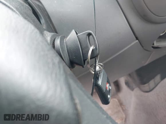 ✅ 2000 Ford F-150 • VIN: 2FTZX1727YCA85360 • Lot: 42325271. Wystawiony na IAAI z przebiegiem 119 040 mil. Bezpłatny archiwum sprzedaży aukcyjnych z USA i szczegółowy raport historii pojazdu na DreamBid. Zdjęcie 11.