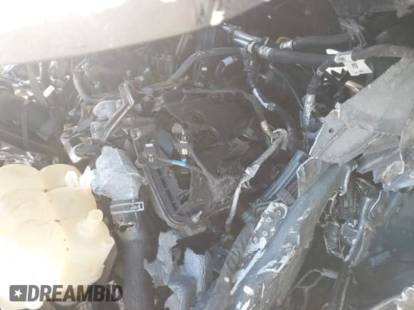 ✅ 2022 Ford Police Interceptor Utility • VIN: 1FM5K8AB0NGB48786 • Лот: 43612336. Опубликован ранее на IAAI с пробегом Не указан. Бесплатный доступ к архиву аукционных продаж из США и подробный отчёт об истории автомобиля на DreamBid. Изображение 10.