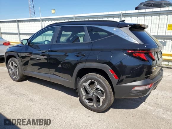 ✅ 2024 Hyundai Tucson SEL • VIN: 5NMJBCDEXRH425468 • Lot: 69986884. Wystawiony na Copart z przebiegiem 302 mil. Bezpłatny archiwum sprzedaży aukcyjnych z USA i szczegółowy raport historii pojazdu na DreamBid. Zdjęcie 2.