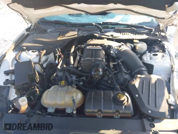 ✅ 2017 Ford Mustang GT Premium • VIN: 1FA6P8CF7H5255933 • Lot: 43137238. Wystawiony na IAAI z przebiegiem 85 324 mil. Bezpłatny archiwum sprzedaży aukcyjnych z USA i szczegółowy raport historii pojazdu na DreamBid. Zdjęcie 10.